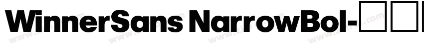 WinnerSans NarrowBol字体转换